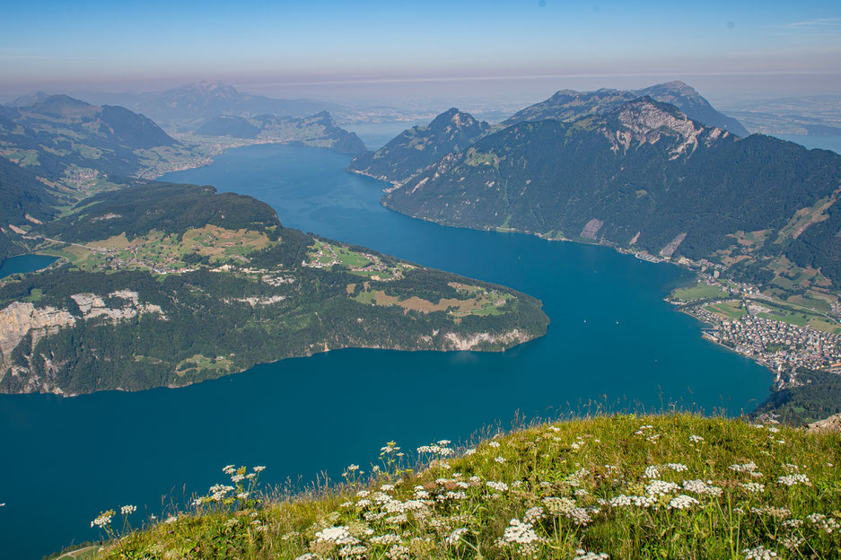  #fronaplstock #photography #vierwadstättersee# schweiz #juli #seelisberg#innerschweiz #see