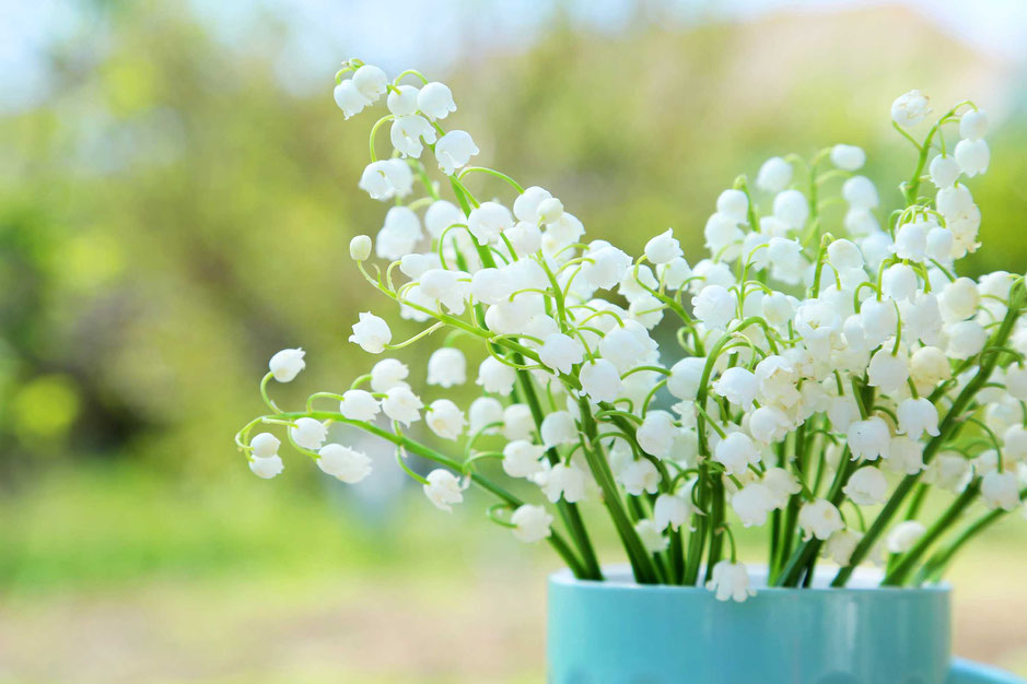 Beltane, Baltain, Walpurgis, 1. Mai, Pflanzen, Blumen, Maiglöckchen, Strauß, draußen, Natur, Feier, Fest, Bräuche, Rituale, 