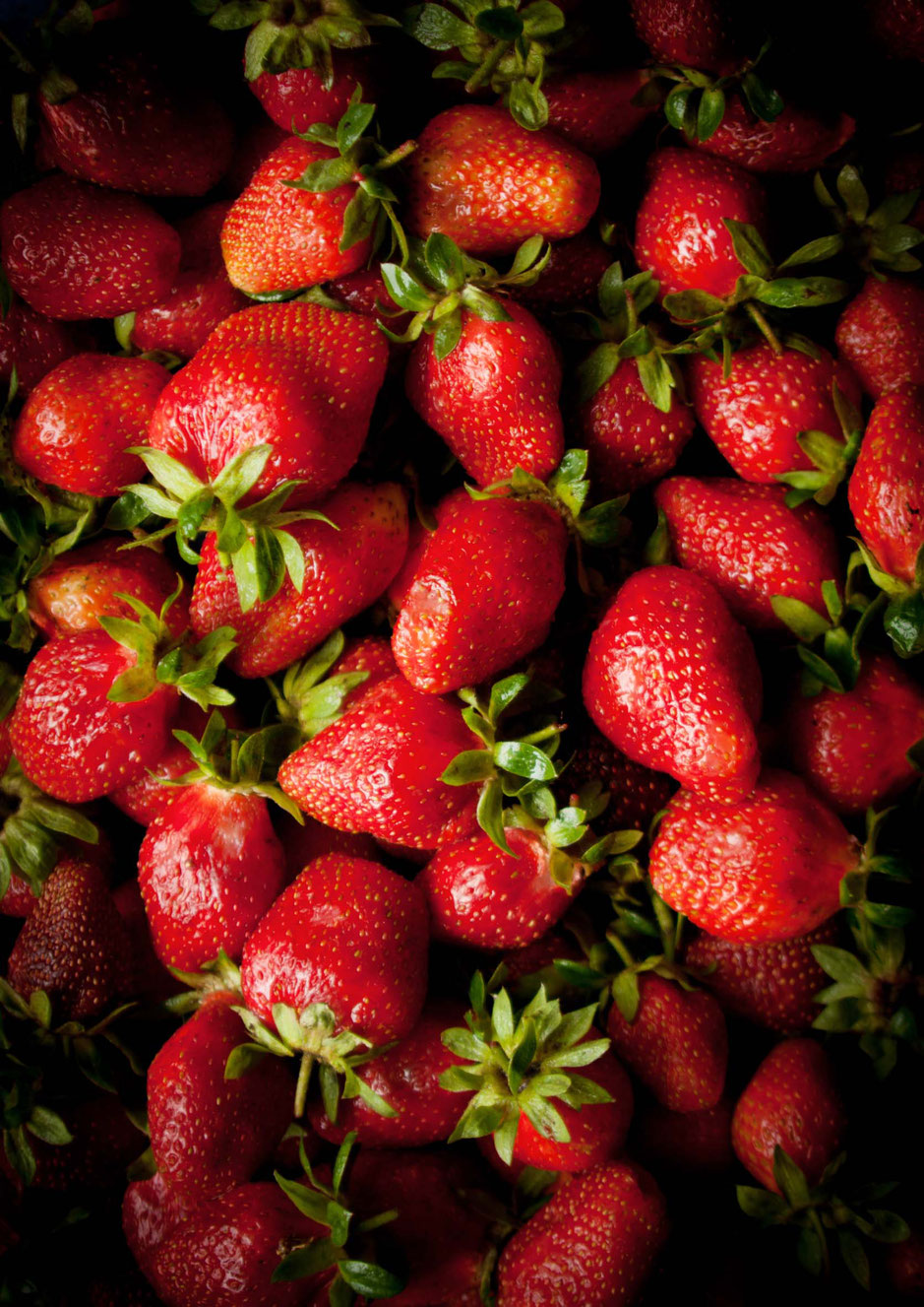 Erdbeer, Erdbeeren, Tarte, Basilikum, Backen, Kräuter, Sommer, Frühling, Creme, fruchtig, frisch, Zitrone, Dessert, Kuchen, Curd