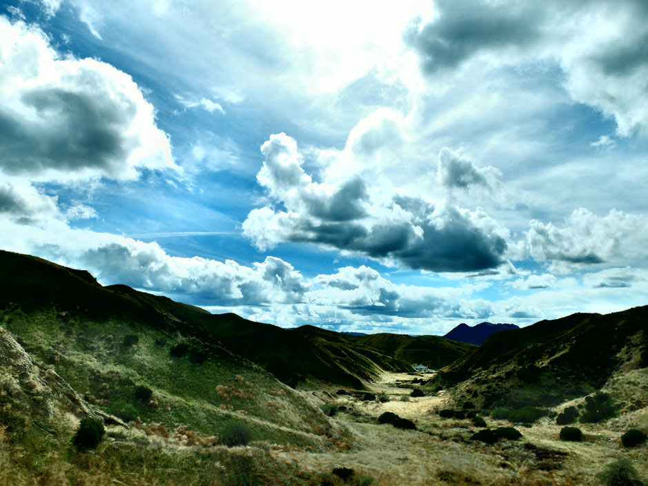 Hügelige Landschaft vom Highway aus fotografiert.