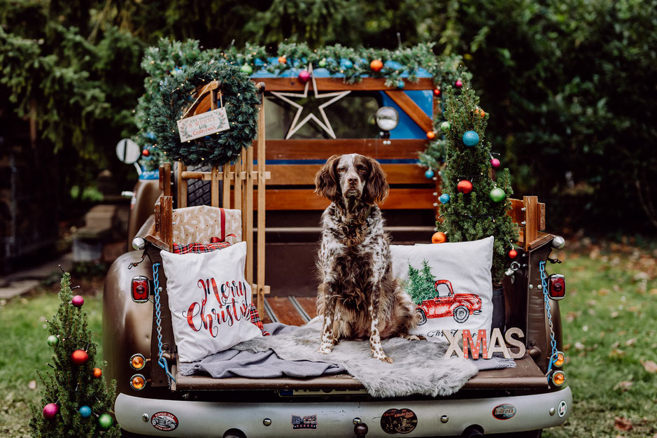 Ein Mann und eine Frau sitzen auf einer weihnachtlich geschmückten Ladefläche eines Trucks, dazwischen steht ein kleines Mädchen. Sie halten alle Kissen in der Hand und machen eine Kissenschlacht