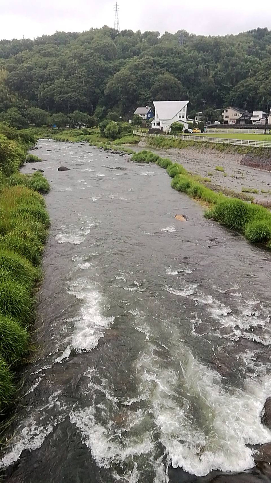 大見川年川合流