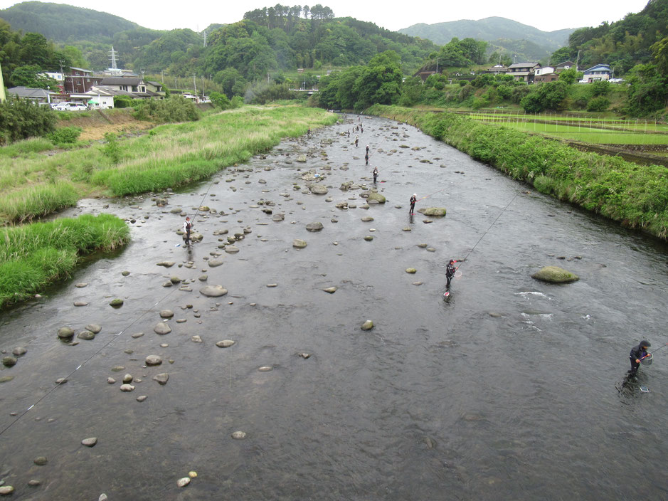 松ヶ瀬吊り橋上流