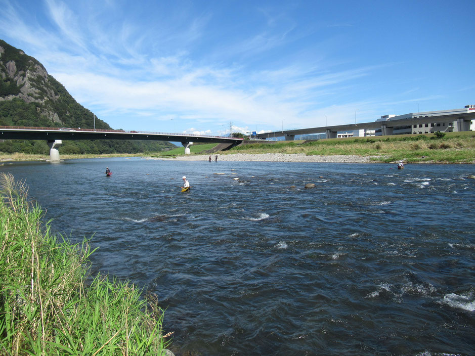 狩野川大橋　11:00前　明日は大仁アユ釣りチーム大会が行われます。