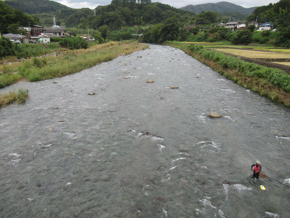 松ヶ瀬つり橋