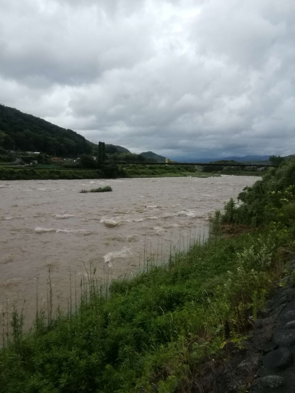 7月4日　狩野川松ヶ瀬つり橋