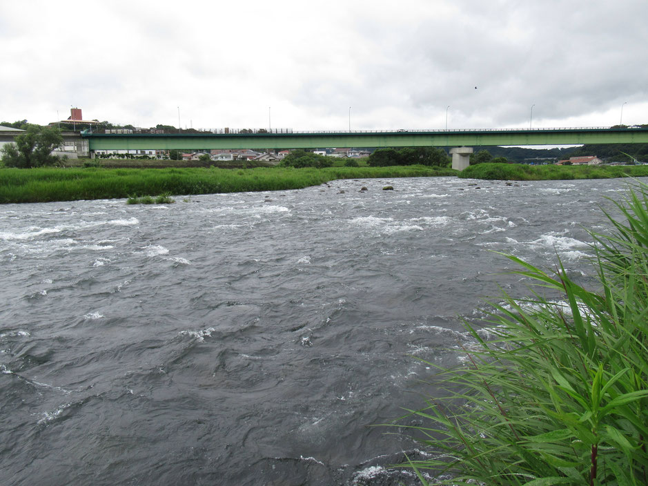 狩野川新大橋