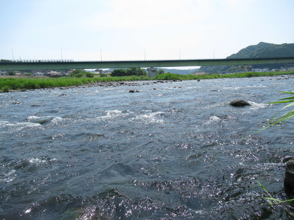 狩野川新大橋