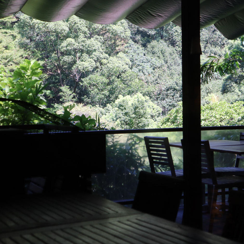 再度山荘 GREEN’S TALE 納涼会 8/29