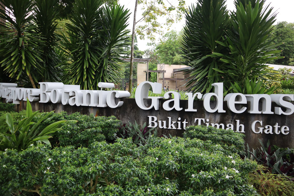 シンガポール植物園 2018年9月