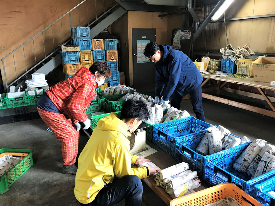 栗山町ふるさと納税　アスパラ