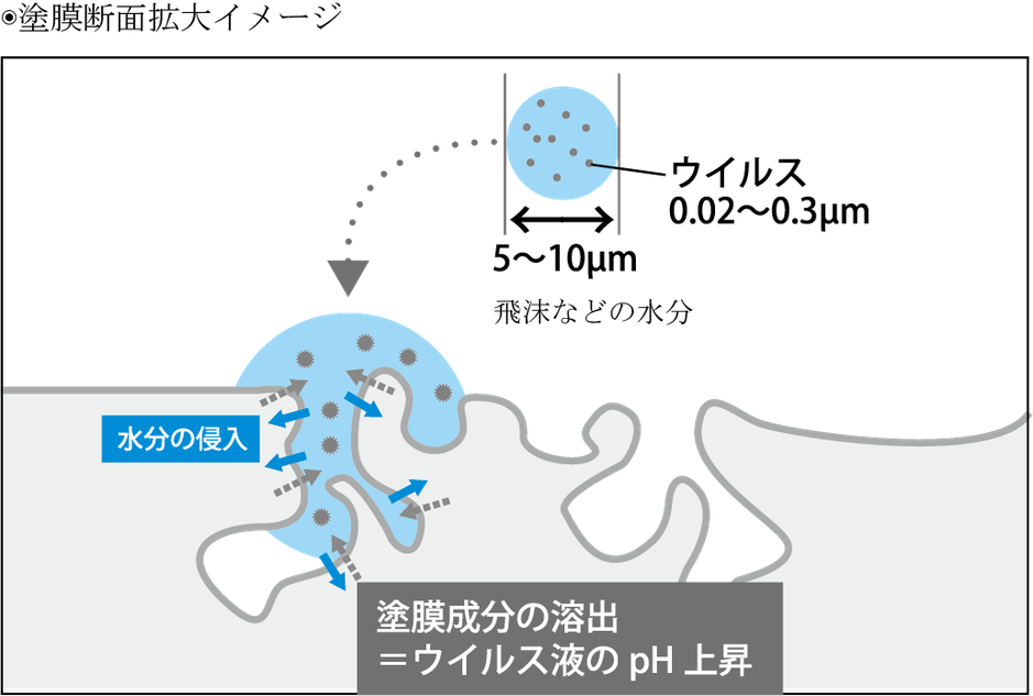 ウイルスなどは、アレスシックイを塗装した面に付着をすると、塗膜に接することで不活性化され、ウイルスとしての機能を落とします。