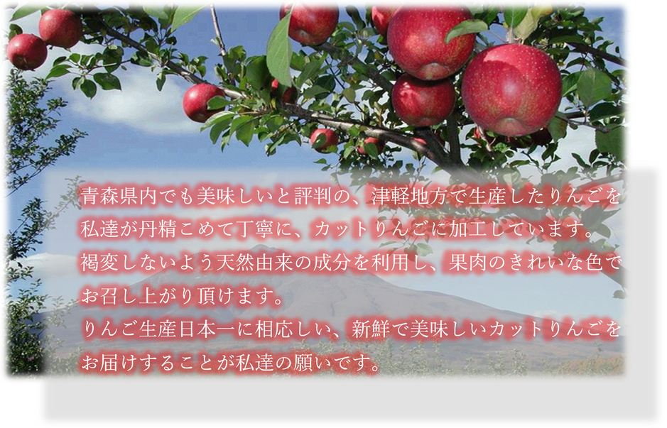 青森県内でも美味しいと評判の、津軽地方で生産したりんごを私たちが丹精込めて丁寧に、カットりんごに加工しています。褐変しないよう天然由来の成分を利用し、果肉のきれいな色でお召し上がり頂けます。