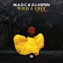 Release Date, Musik, Label, Solution of Sounds GmbH, Radio, Playlist