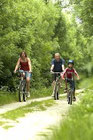 des cyclistes en VTT sur un sentier de Forêt