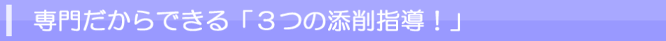 専門だからできる「３つの添削指導」