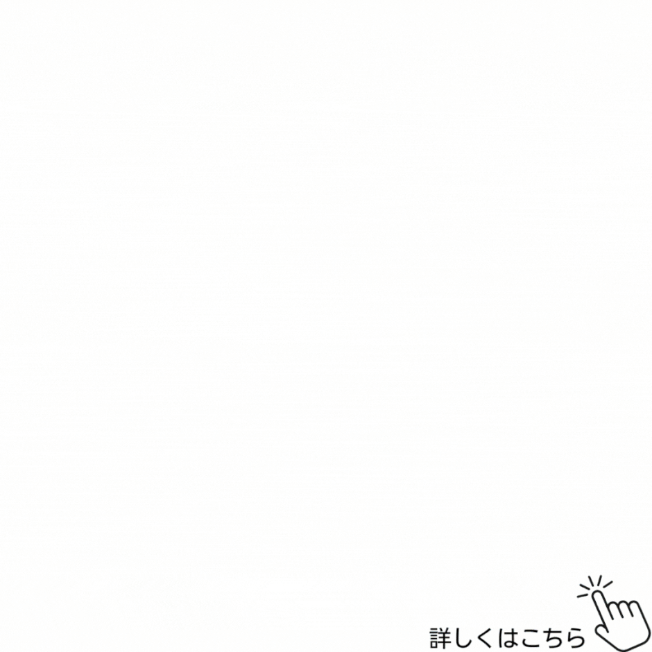 防虫カバー　しまいこみセット