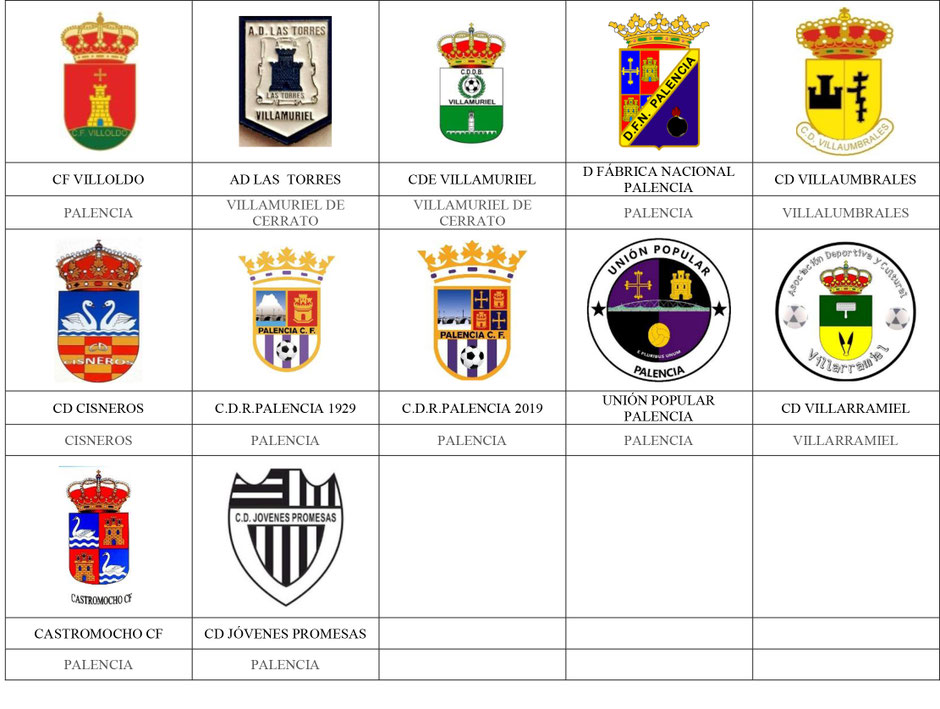 equipos futbol palencia