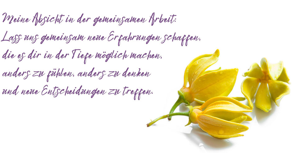 Mein Credo in der Zusammenarbeit mit meinen Klienten, Annett Schmiedel Heilpraktikerin für Psycho- und Traumatherapietherapie