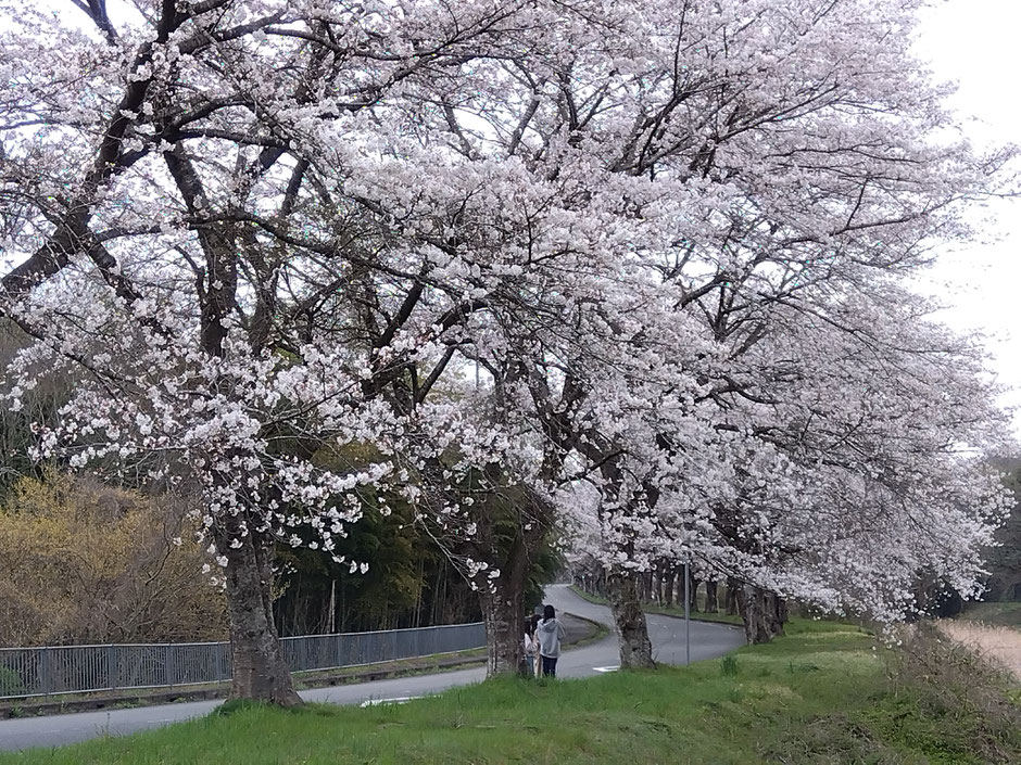 関西池田記念墓地公園入口付近