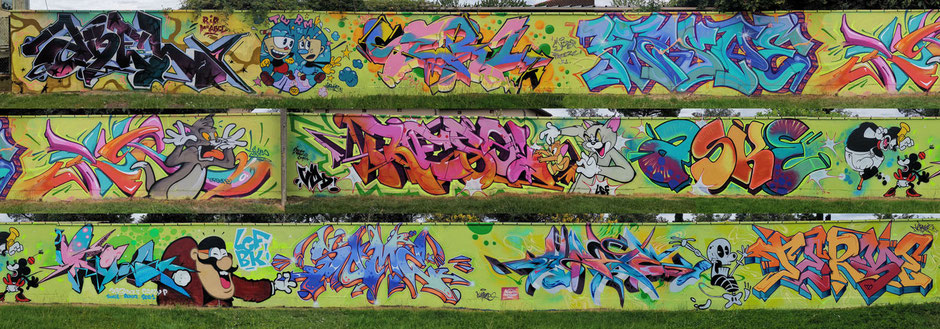 Pour ABEL by Ser1 - Kasp - Tigr - Reso - Aske - Sank - Some - Ynoxe - Terme (Montauban Mister Freeze 2021)