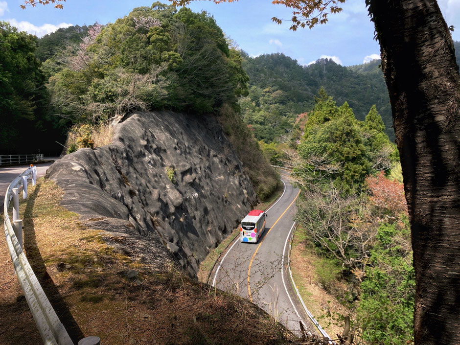 標高695mの鳳来寺山の中腹をはしる鳳来寺山パークウェイ