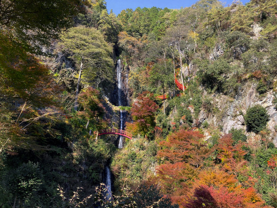 3つの滝が一つにつながったように見える五宝滝。※写真は昨年の見頃時期(11/15)に撮影