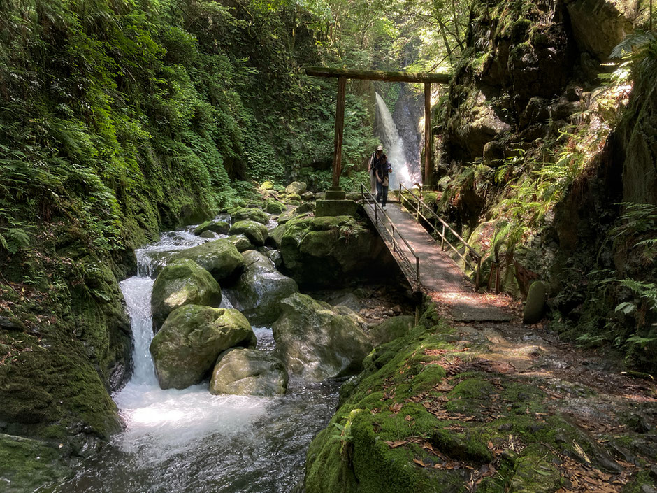 鳥居の奥が三の滝。まるでジブリの世界に迷い込んだような幽玄な雰囲気がいい