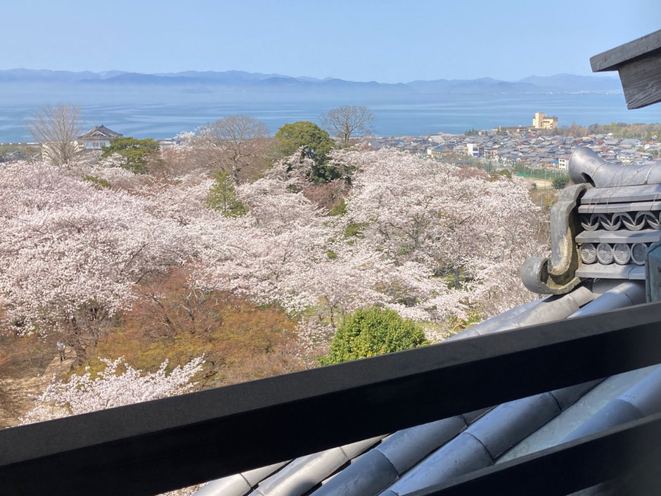 天守から琵琶湖を一望。春は少し霞がかっているけれど、琵琶湖の対岸まで見通せる眺めの良さ