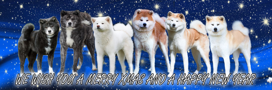Merry xmas and a happy new year 2022 Akita Family