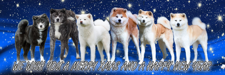 Merry xmas and a happy new year 2022 Akita Family