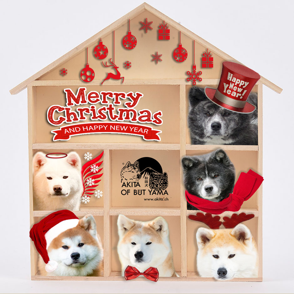 Merry christmas and a happy new year 2021 Akita Family