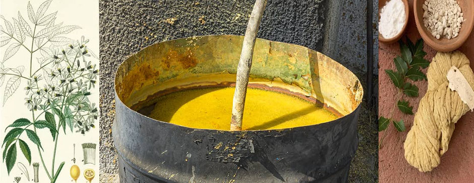 L’alun, un mordant naturel, et la cuisson intensifie la couleur jaune clair présente naturellement dans les feuilles de neem.