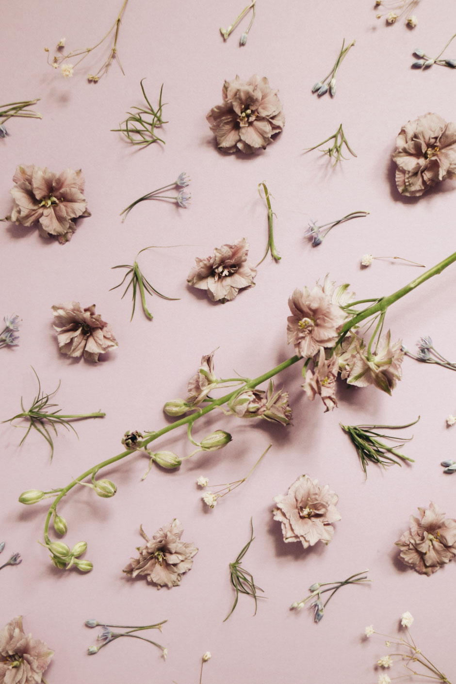 Qui Sommes Nous La Cinquième Saison