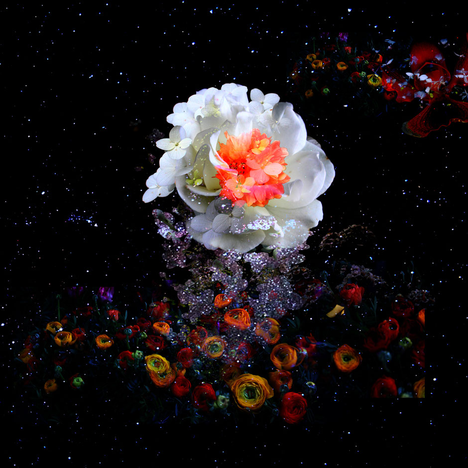 Blütengalaxie ,René Cassio Scholz