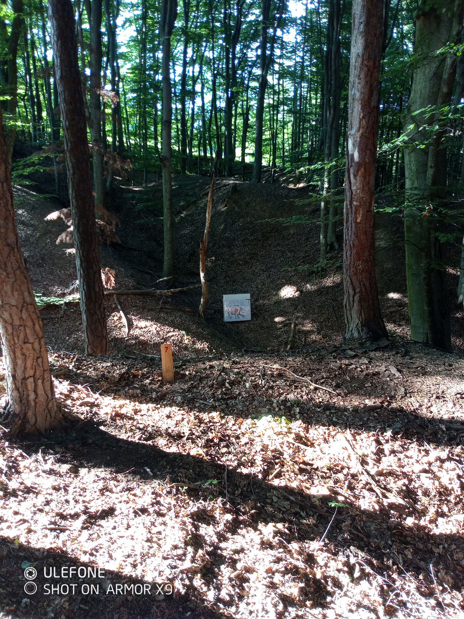 Ein spektakulärer Schuss/Wurf steil bergab im Wald.
