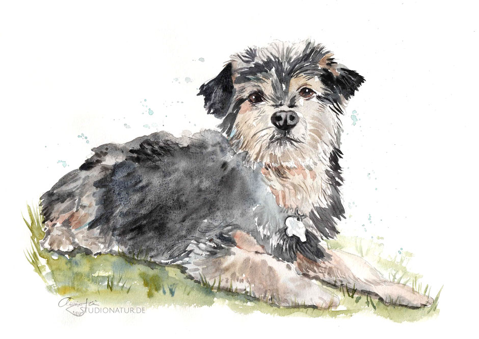 Hund, dog, Auftrag, commission, Aquarell, watercolour, animal painting, Seelenbild, Seelentier, Krafttier, Geschenk, Kunstgeschenk, art gift, watercolor, Erinnerungsbild, Fellnase, best friend
