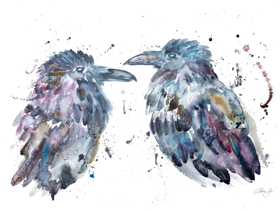 Krähen, crow, Aquarell, Illustration, watercolour, wartercolor, Illustration, contemporary art, painting, Malerei, Spritztechnik, Raven, Raben, Kolkraben, Hugin, Munin