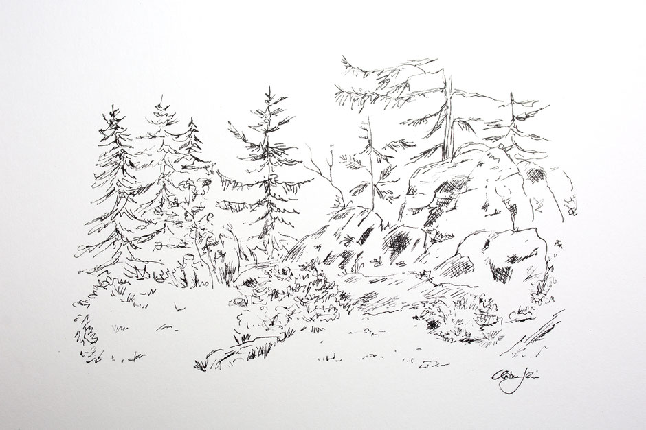Fürstenstein, Wandern, Aquarell, natur, ink, faber castell, drawing, sketch, sketching, Originale Kunst, artwork, Illustration, Fichtelgebirge