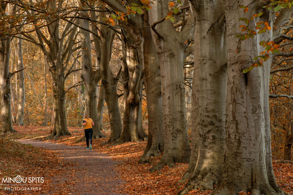 Castricum, jogger in het bos