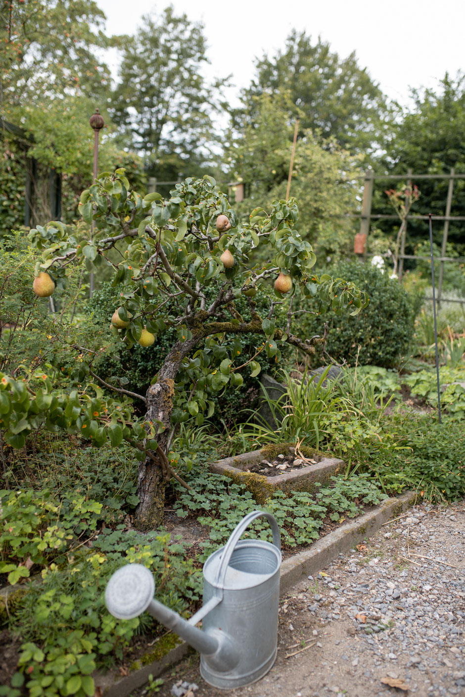 Slowflowers, Gabel und Spaten, Nachhaltige Hochzeitsfloristik, Hochzeitsfotografie Janine Piontek