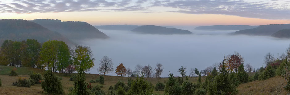 Über die Wacholderheide schweift der Blick auf das Nebelmeer, unter dem das Obere Filstal und Unterböhringen noch verborgen liegen. 