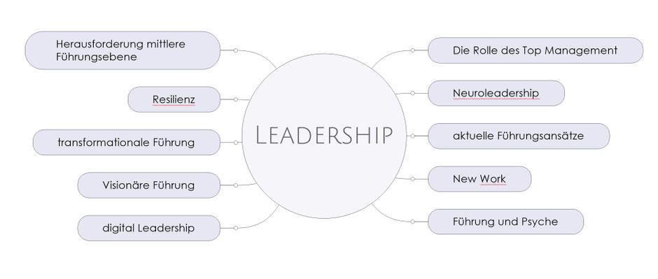 Leadership Coaching - Führungskräfte Coaching