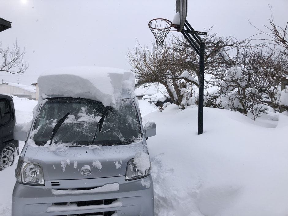 先日の大雪はこんなんでした