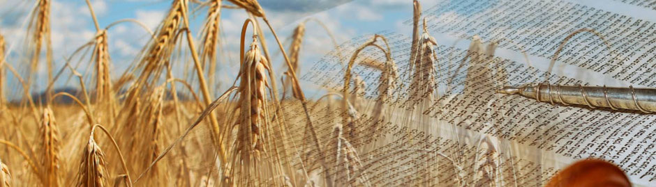 schawuot-shavuot-pfingsten-pfingstfest-pentecost