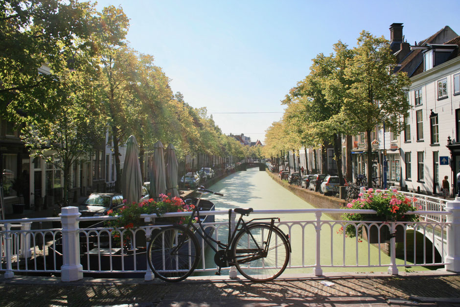 Delft Netherlands ofpenguinsandelephants of penguins & elephants canal bike