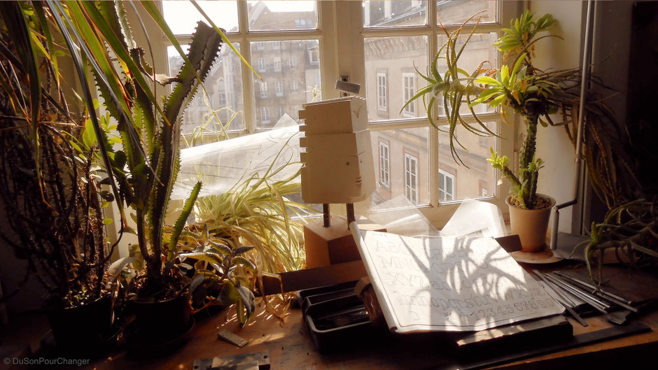 sculpture et cactus à la fenetre des ateliers de l'oeuvre notre-dame de strasbourg du son pour changer