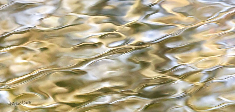 Wasser