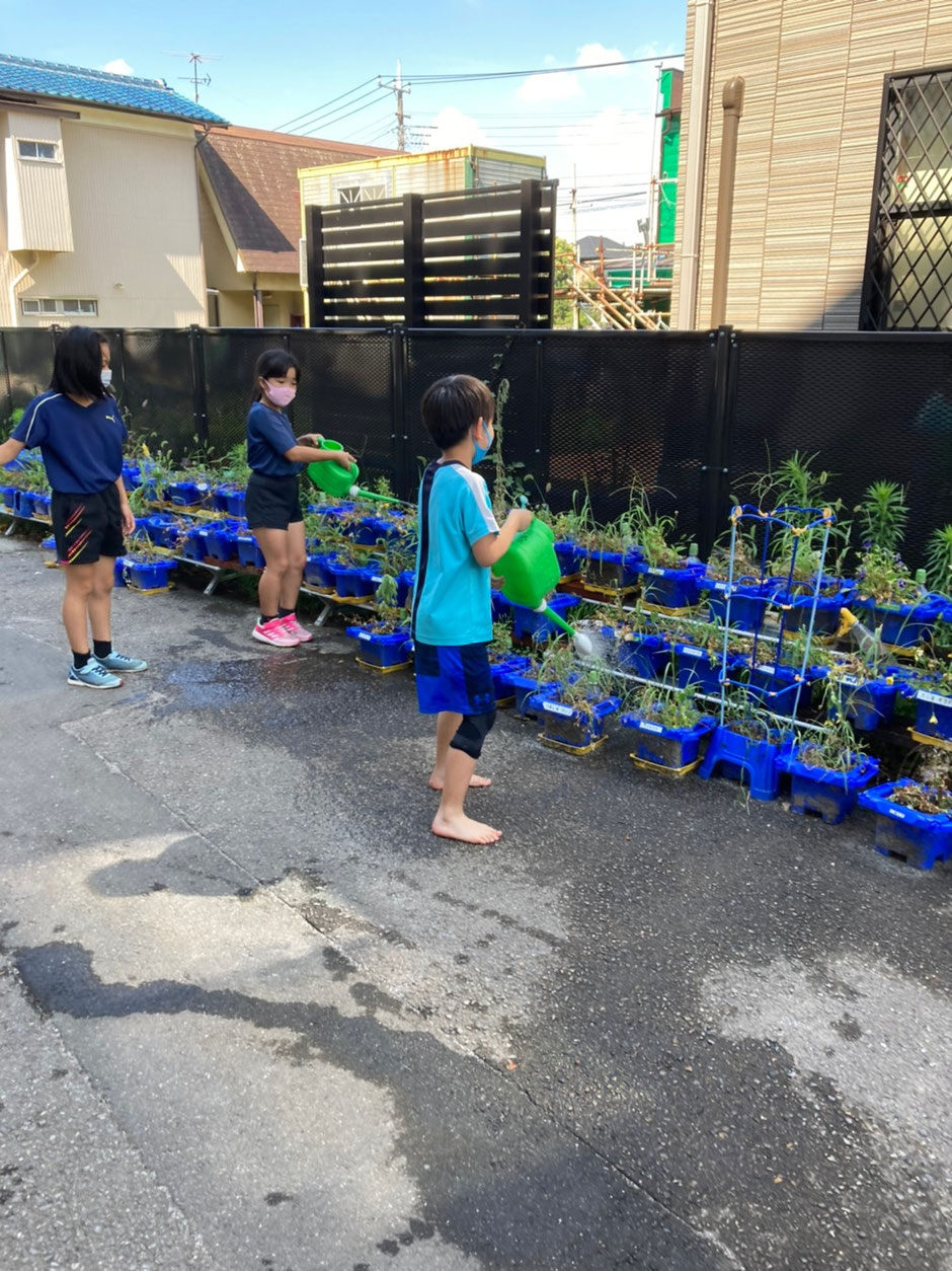 水やりも大切なお仕事！！