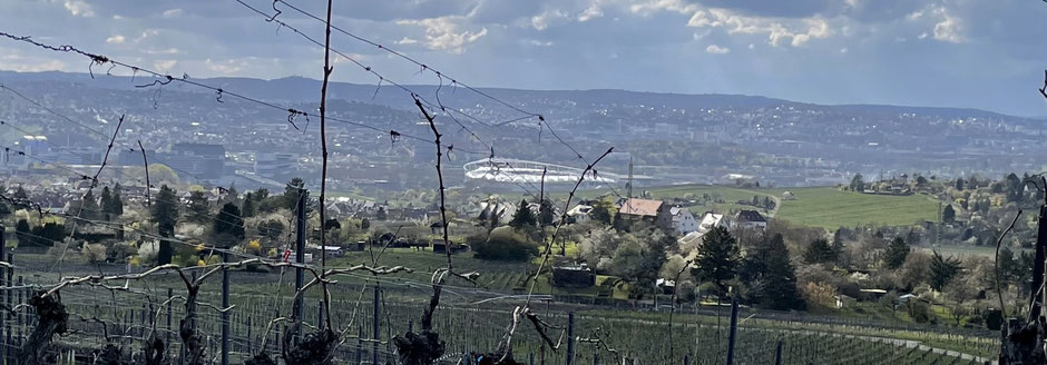 Blick auf Stuttgart und die Weinberge im Neckartal ©Elvira